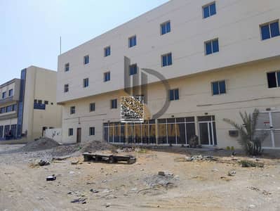 Warehouse for Sale in Umm Al Thuoob, Umm Al Quwain - WhatsApp Image 2026-03-25 at 10.55. 41 PM. jpeg Warehouse for Sale in Umm Al Thuoob, Umm Al Quwain - WhatsApp Image 2026-03-25 at 10.55. 41 PM. jpeg