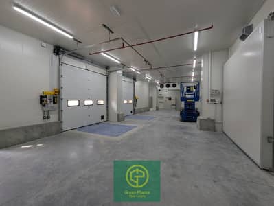 Warehouse for Rent in Al Warsan, Dubai - PHOTO-2026-02-20-11-52-15. jpg Warehouse for Rent in Al Warsan, Dubai - PHOTO-2026-02-20-11-52-15. jpg