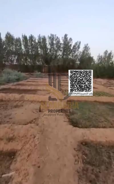 Mixed Use Land for Sale in Kabir, Umm Al Quwain - WhatsApp Image 2026-03-26 at 2.05. 08 AM (1). jpeg
