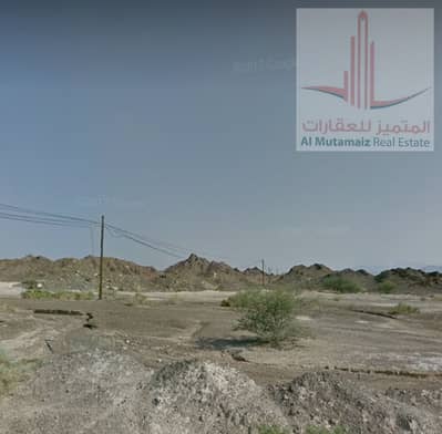 ارض سكنية  للبيع في المنامة، عجمان - صورة واتساب بتاريخ 2025-03-12 في 14.35. 08_e1b6a3f3. jpg
