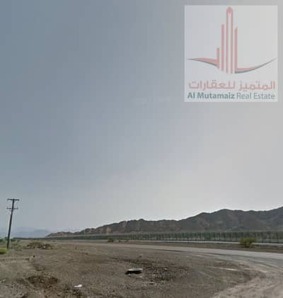 Plot de à à vendre à Al Manama, Ajman - صورة واتساب بتاريخ 2025-03-12 في 14.35. 08_0d16275d. jpg Plot de à à vendre à Al Manama, Ajman - صورة واتساب بتاريخ 2025-03-12 في 14.35. 08_0d16275d. jpg