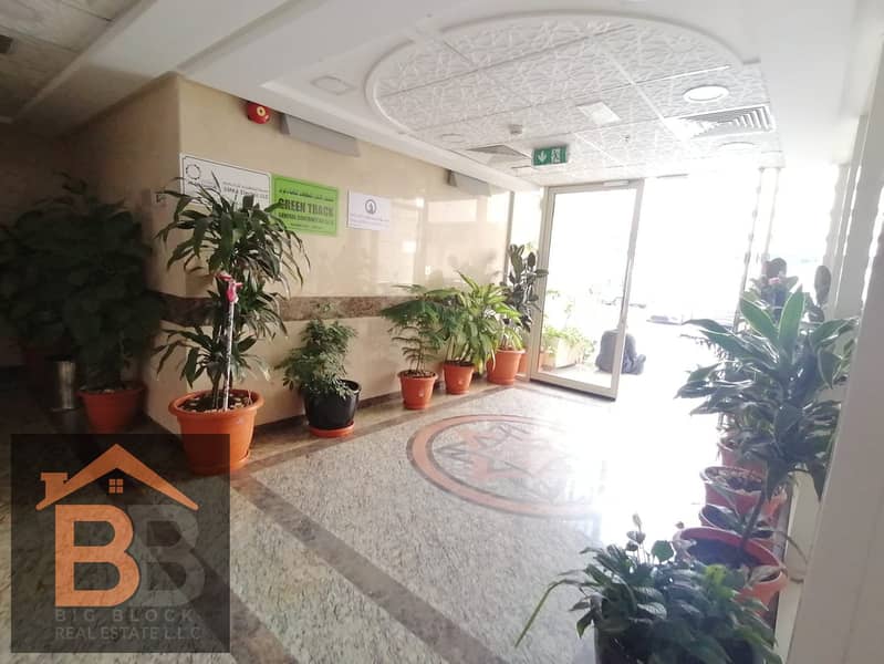 Large 1Bhk Apt With 2 Bathroom Big Hall Owner Building