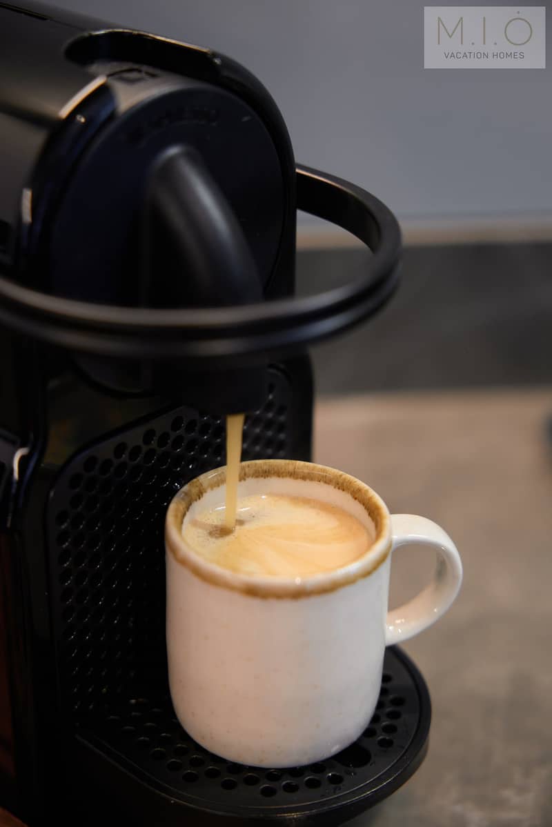 No Commission | Furnished 1BR | Vacant - Image 15