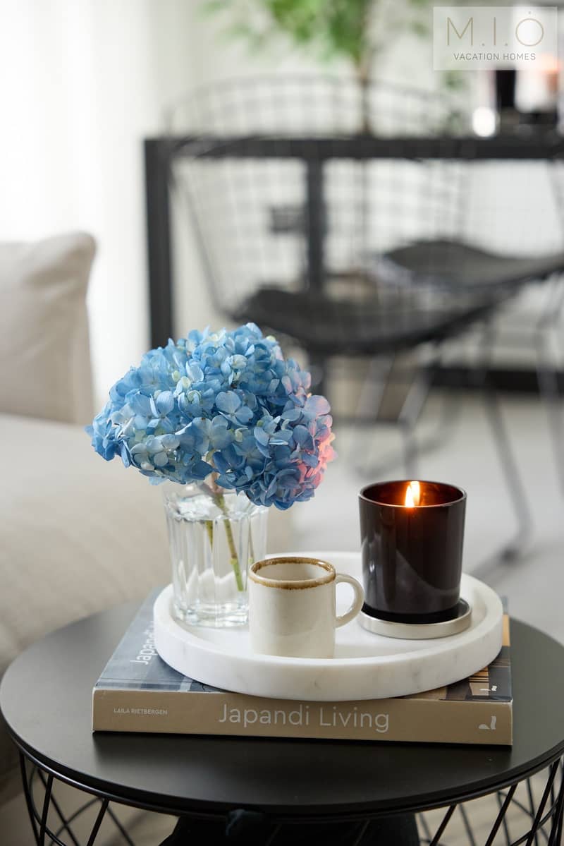 No Commission | Furnished 1BR | Vacant - Image 19