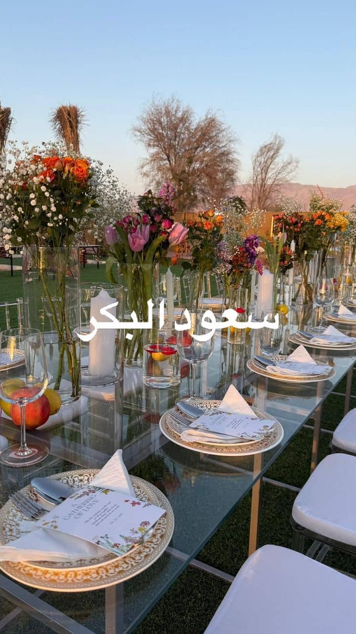8 WhatsApp Image 2026-03-29 at 23.18. 38 (1). jpeg