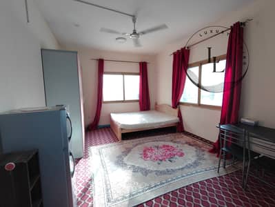 Studio for Rent in Al Majaz, Sharjah - IMG_20260401_165720091. jpg Studio for Rent in Al Majaz, Sharjah - IMG_20260401_165720091. jpg