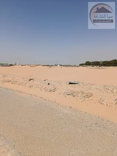 Build Your Project in Al Qasmiya 2 | Bayut.com