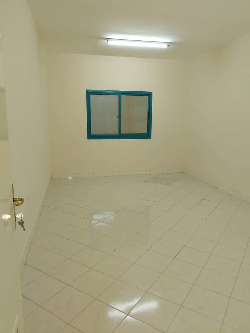 4 1000154447. jpg
