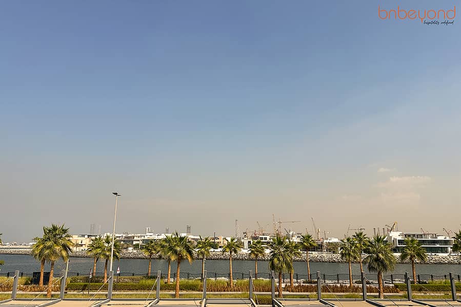 26 IMG_8626. JPG