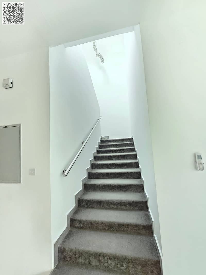 10 1000913765. jpg