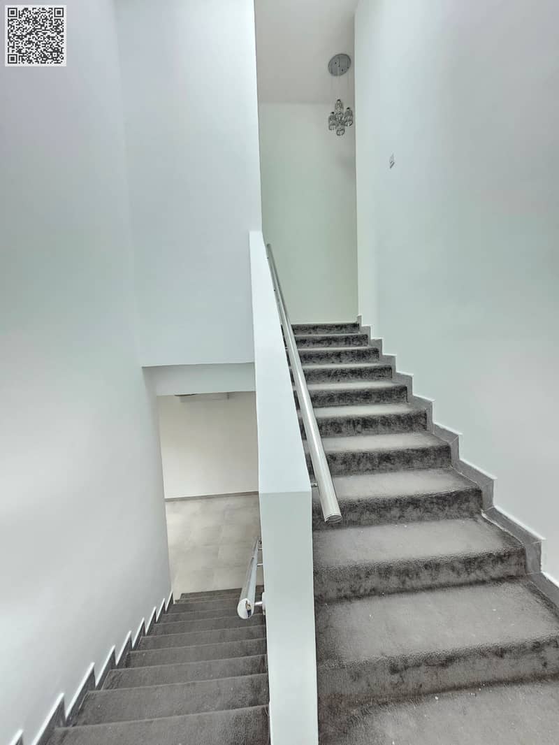 11 1000913766. jpg