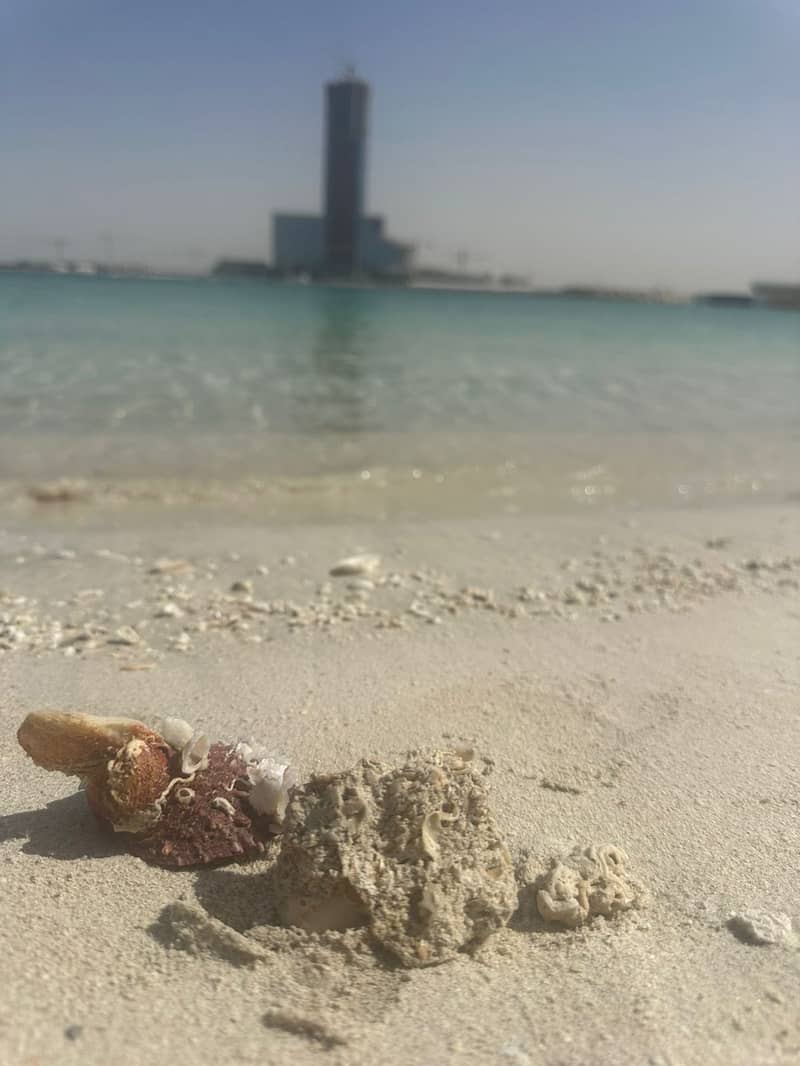 38 beach. jpg