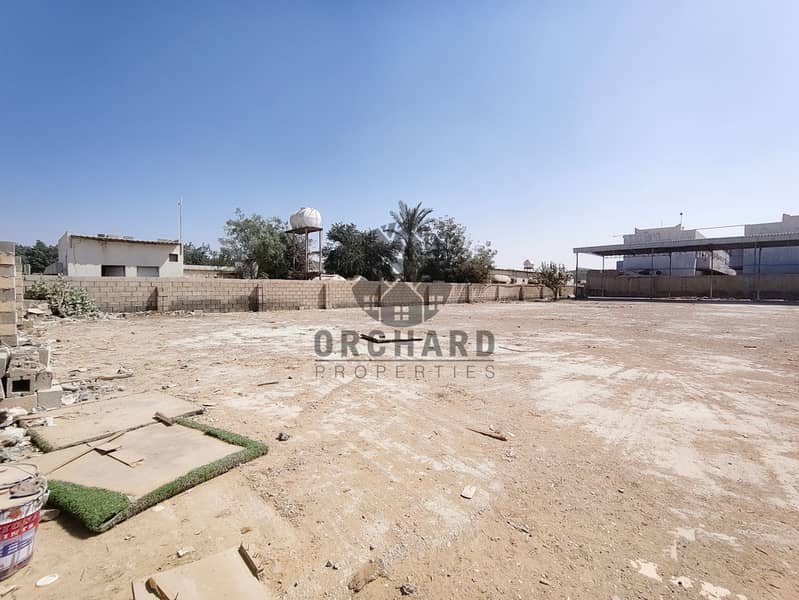 3 16709. jpg