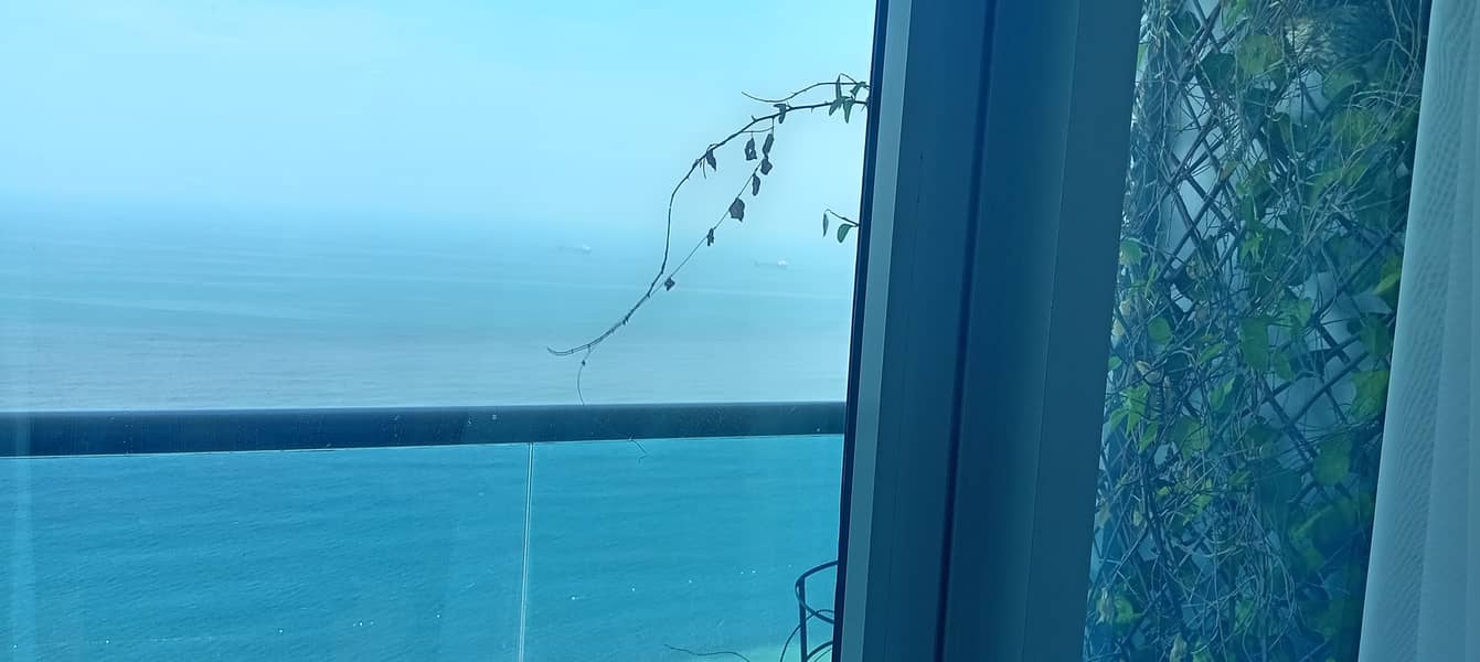 8 1000366933. jpg