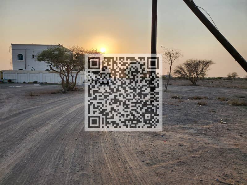 3 WhatsApp Image 2026-02-27 at 12.56. 57 AM. jpeg