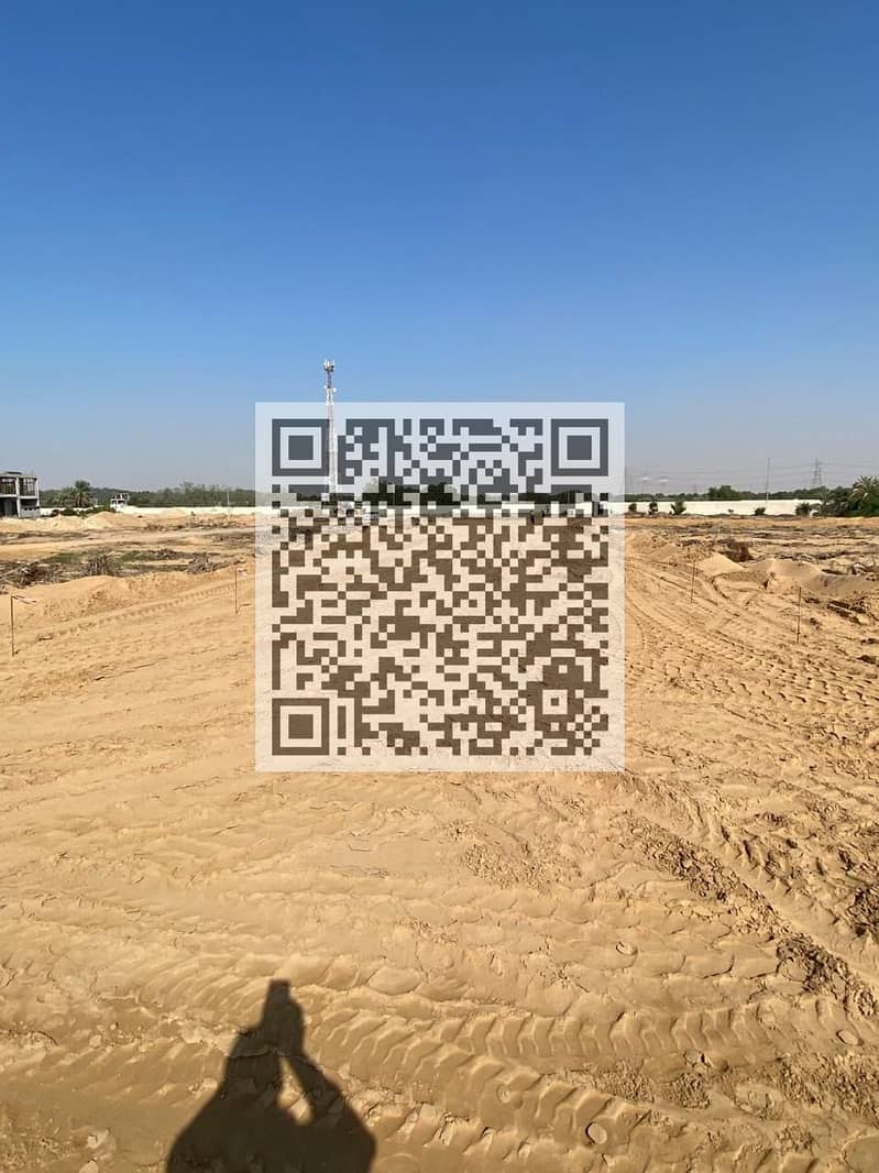 3 land990. jpg