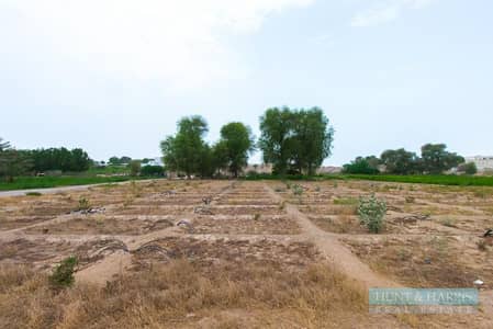 Plot for Sale in Al Hamraniyah, Ras Al Khaimah - Plot for Sale - Commercial Land - Operating Already - GCC Nationals Plot for Sale in Al Hamraniyah, Ras Al Khaimah - Plot for Sale - Commercial Land - Operating Already - GCC Nationals