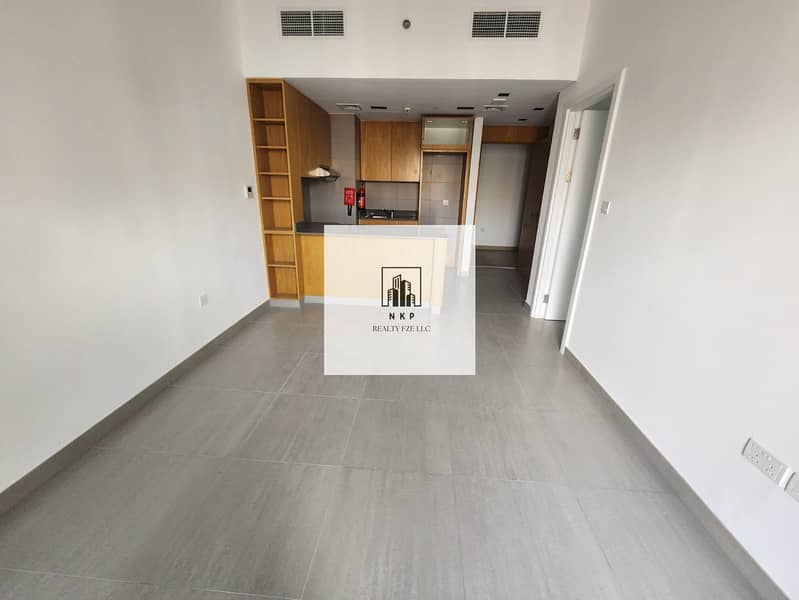 Specious luxury apartment for rent