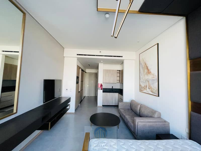 Fully Furnished | Chiller Free | Balcony | Multiple Options