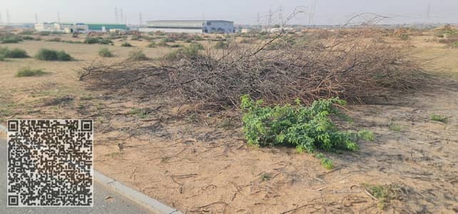 Industrial Land in Affitto a Al Hamriyah, Sharjah - WhatsApp Image 2026-04-06 at 9.04. 26 PM (1). jpeg Industrial Land in Affitto a Al Hamriyah, Sharjah - WhatsApp Image 2026-04-06 at 9.04. 26 PM (1). jpeg