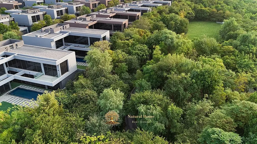 Invest in Nature: 3BR Masaar, 5% Down & Freehold for All! - View 3