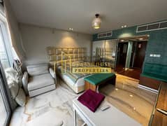 Furnished and Upgraded Studio | Great Opportunity