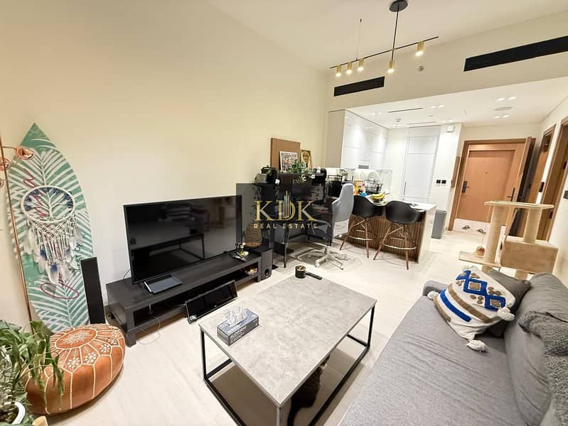 Fully furnished| Fitted Kitchen| Move In Ready