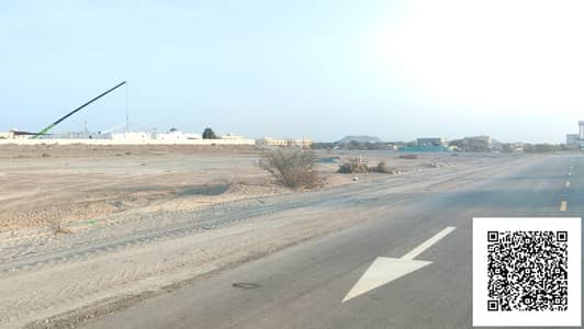ارض سكنية للبيع في المنامة، عجمان - 1000183288. jpg ارض سكنية للبيع في المنامة، عجمان - 1000183288. jpg