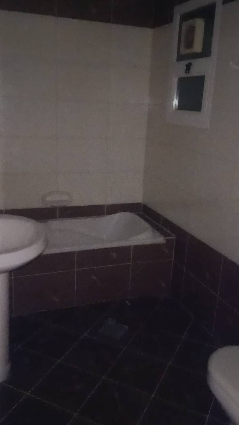 3 IMG20260218124152. jpg