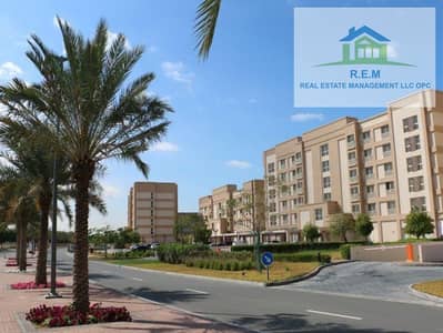 1 Bedroom Flat for Sale in Mina Al Arab, Ras Al Khaimah - DSFJDSHJCDSJS. jpg 1 Bedroom Flat for Sale in Mina Al Arab, Ras Al Khaimah - DSFJDSHJCDSJS. jpg