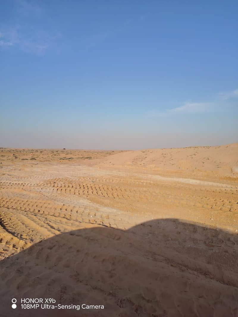 5 1000502540. jpg
