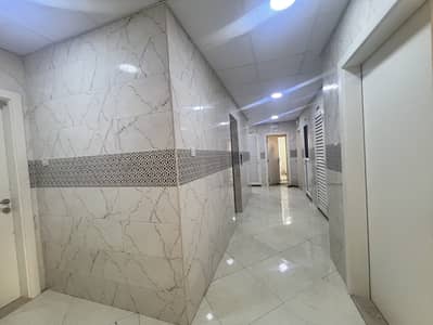Studio for Rent in Muwaileh Commercial, Sharjah - IMG_5401. jpeg Studio for Rent in Muwaileh Commercial, Sharjah - IMG_5401. jpeg