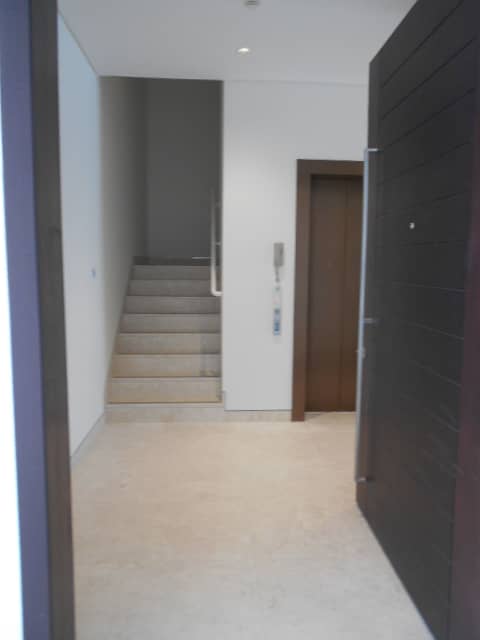 3 DSCN3399. JPG