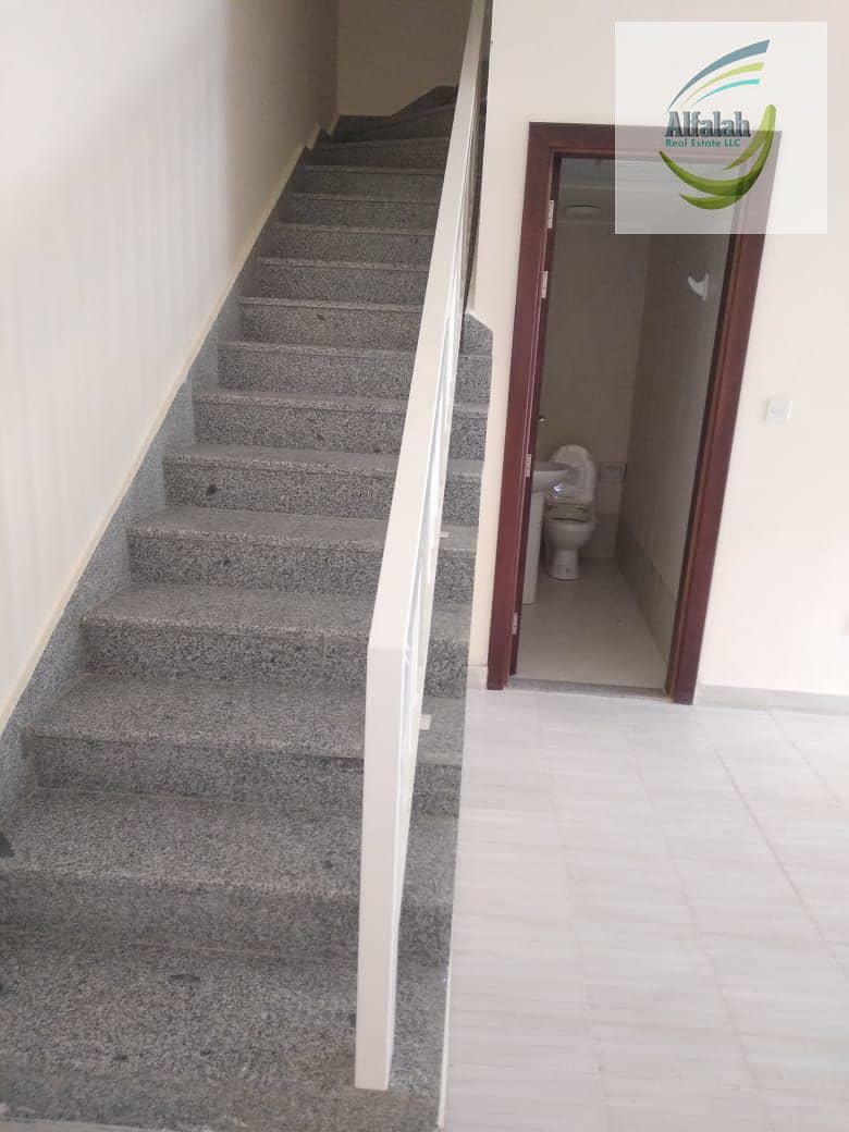 3 1000961198. jpg