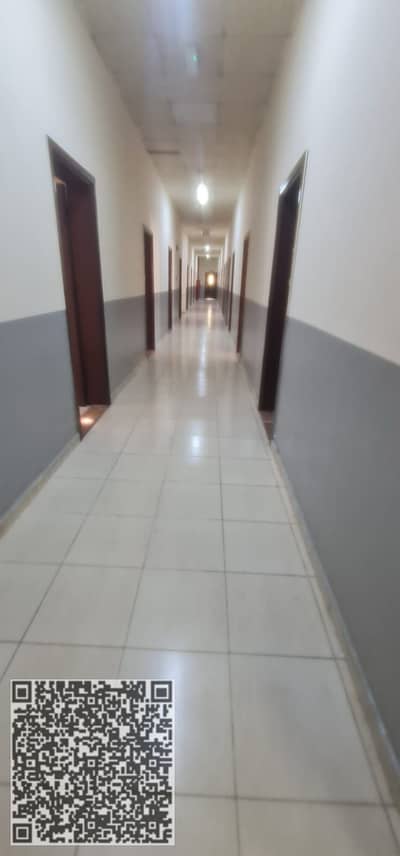 Labour Camp in Affitto a Al Jurf, Ajman - WhatsApp Image 2026-04-17 at 6.04. 57 PM (3). jpeg Labour Camp in Affitto a Al Jurf, Ajman - WhatsApp Image 2026-04-17 at 6.04. 57 PM (3). jpeg