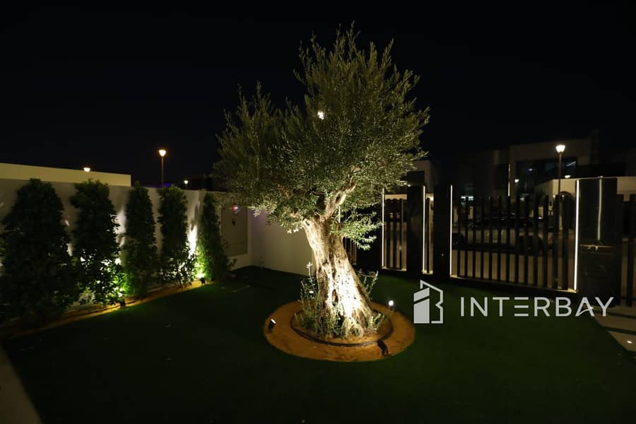 39 WhatsApp Image 2026-01-02 at 9.54. 28 AM (2). jpeg