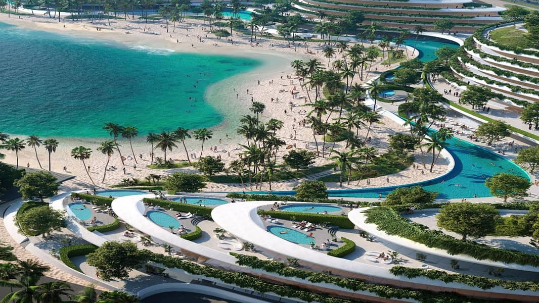 12 palm3. jpg