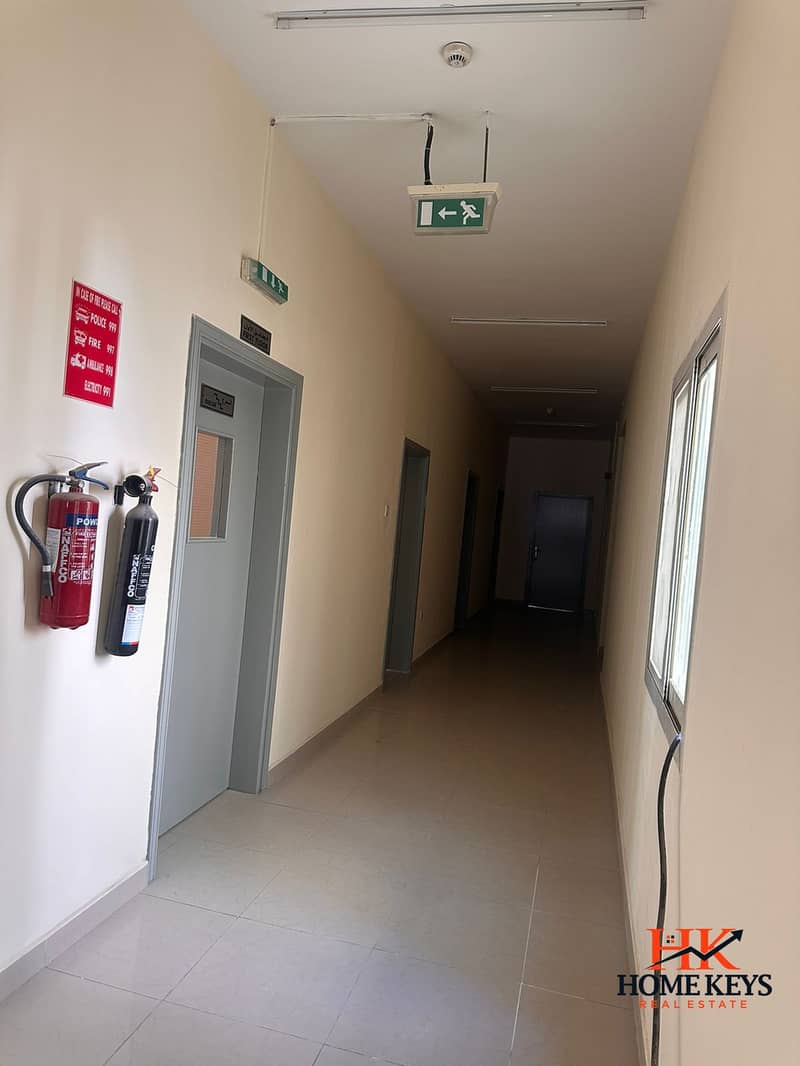 7 WhatsApp Image 2024-12-24 at 11.20. 28_42fdcefd. jpg