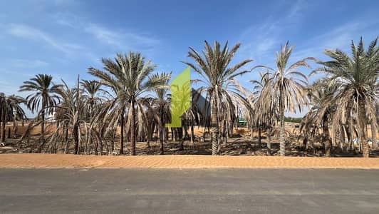 Plot for Sale in Al Zahya, Ajman - acc24181-d6b5-45bb-8f25-f9843031cac6. jpg Plot for Sale in Al Zahya, Ajman - acc24181-d6b5-45bb-8f25-f9843031cac6. jpg