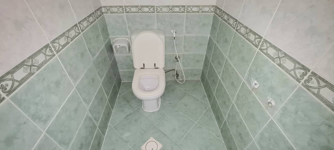 5 8. jpg