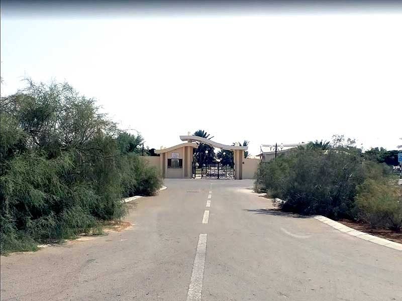Amazing Farm with 490 palm in Nahel Area Amazing Farm with 490 palm in Nahel Area