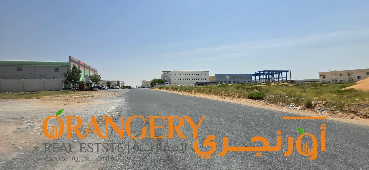 3 Orangey_01 (2). jpeg