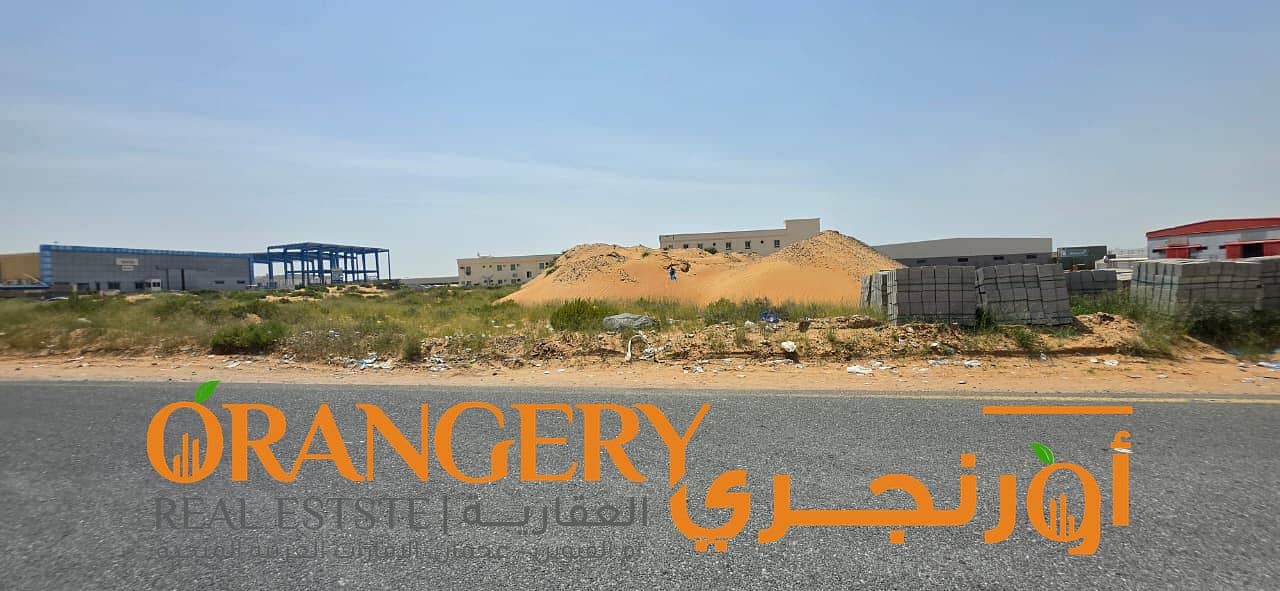 4 Orangey_01 (3). jpeg