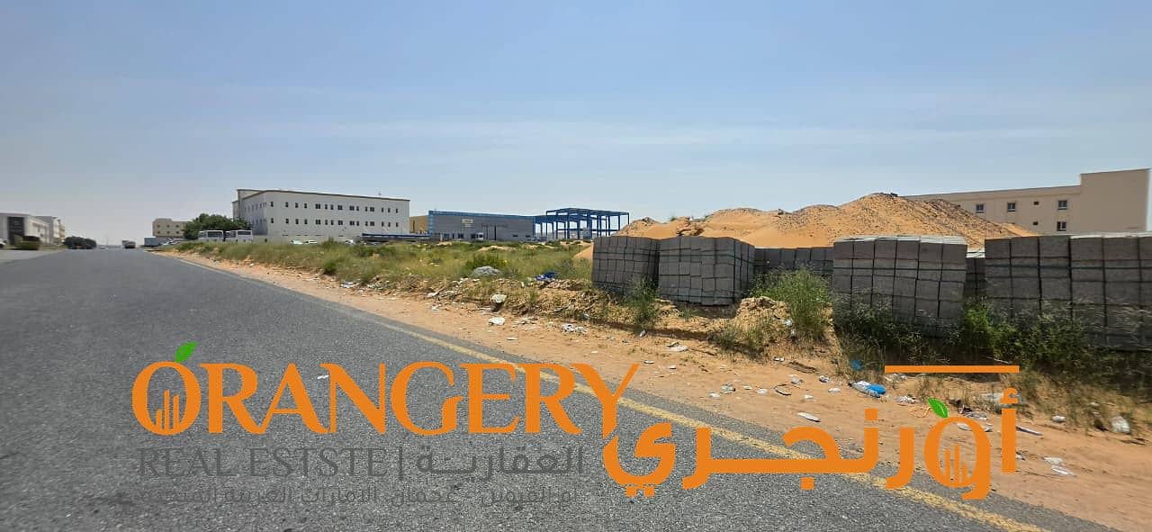 5 Orangey_01 (4). jpeg