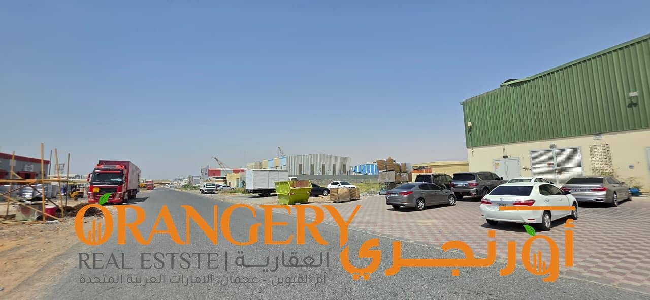 7 Orangey_01 (7). jpeg