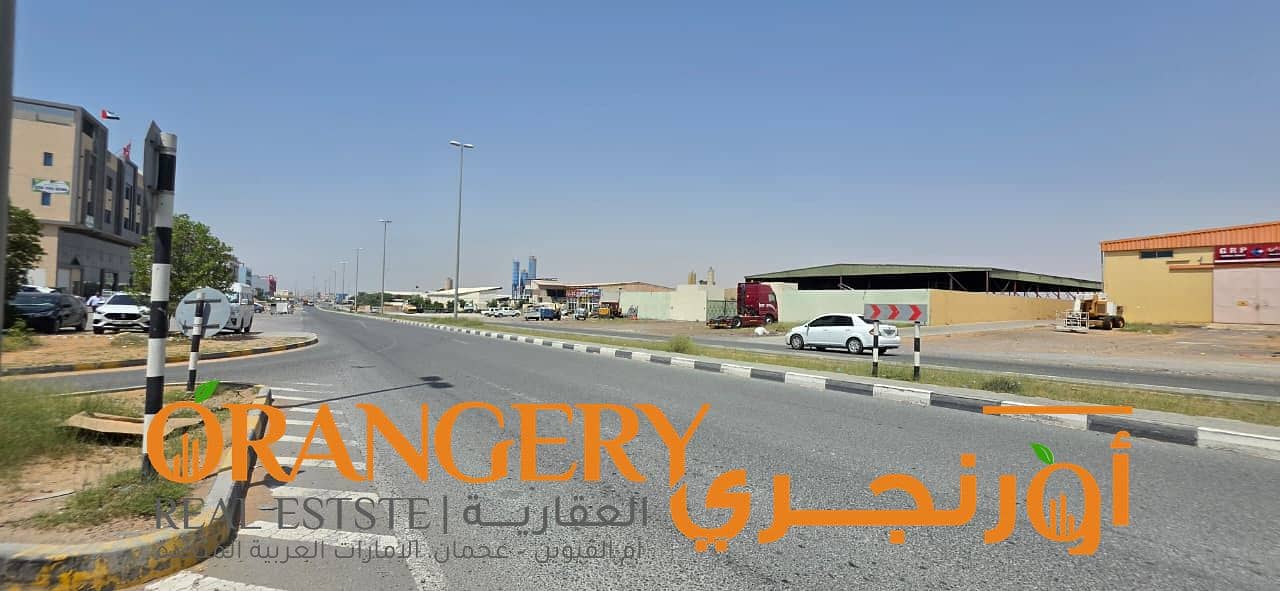 9 Orangey_01 (10). jpeg