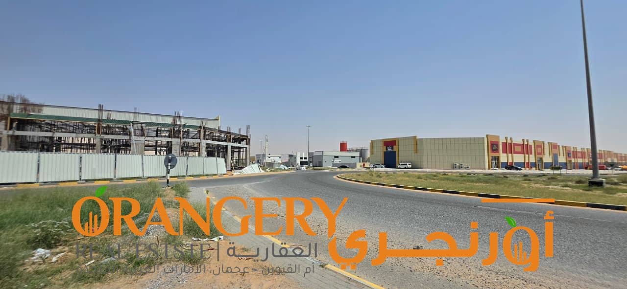 13 Orangey_01 (16). jpeg