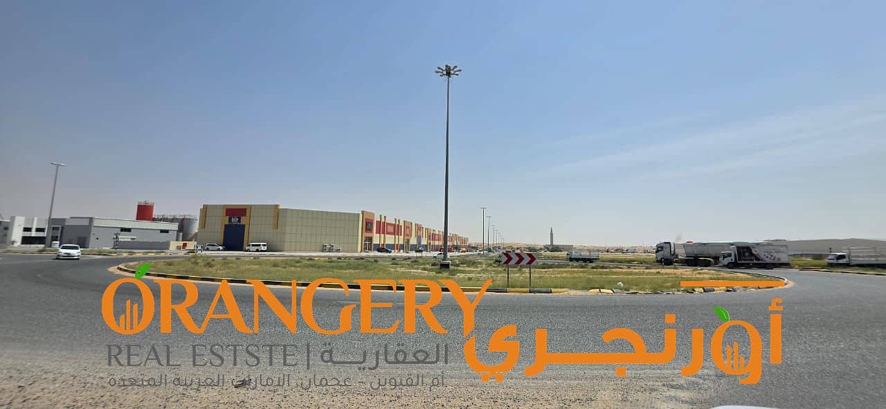 14 Orangey_01 (17). jpeg