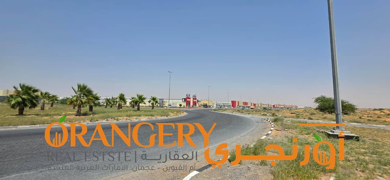 15 Orangey_01 (19). jpeg