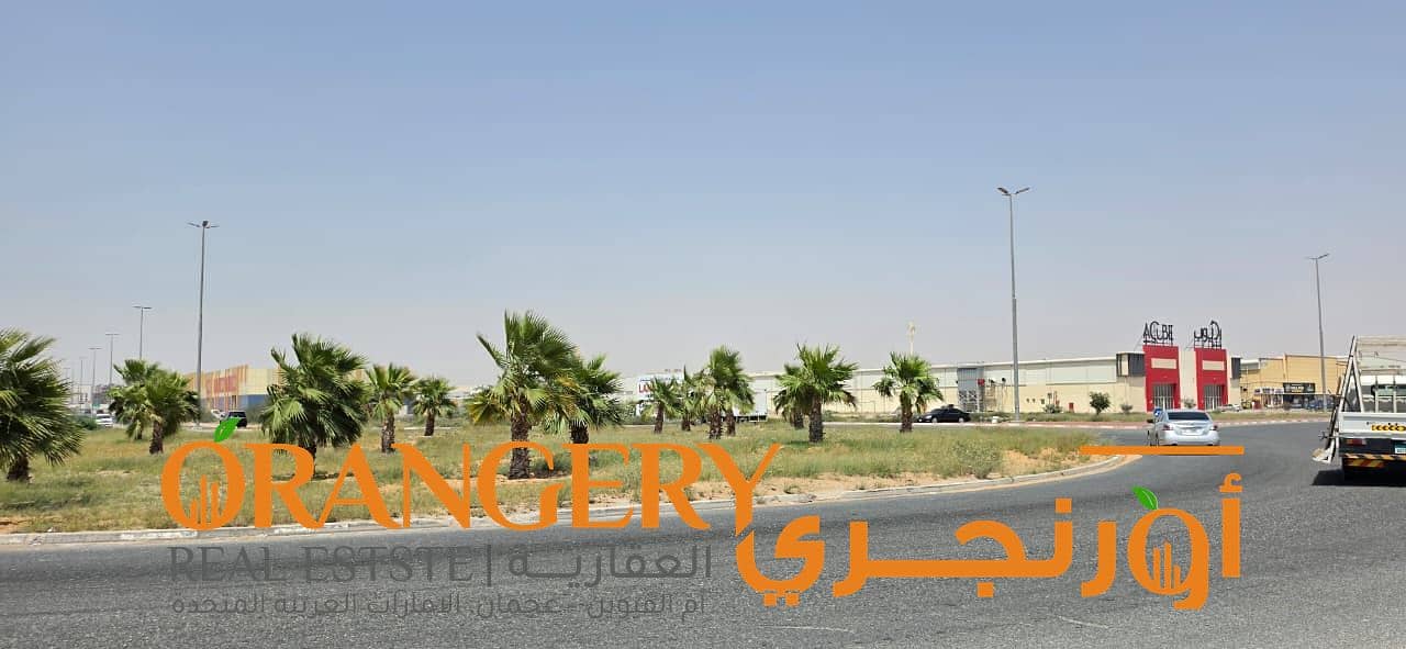 17 Orangey_01 (22). jpeg
